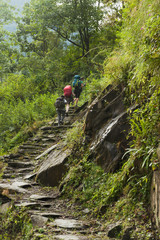 Obraz premium Treking in Annapurna circuit, Nepal.
