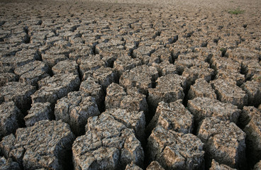 Background of dry cracked soil dirt