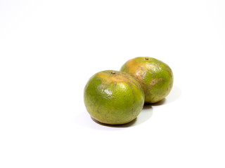 orange fruits on white background