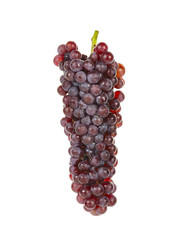 Red grape isolated on over white background