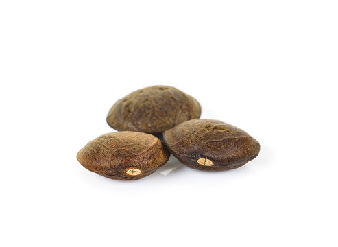 sacha inchi peanut seed isolated