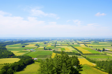 北海道　十勝の風景　Tokachi Hokkaido Japan