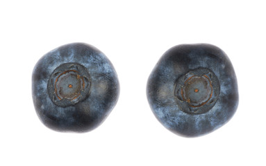 Single ripe bilberry isolated