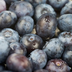 Surface coated with bilberries