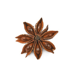 Chinese star anise seed isolated