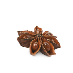 Chinese star anise seed isolated