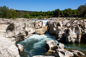 lavande en provence