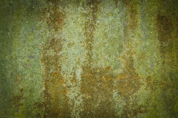 Old rusty metal sheet covered with moss