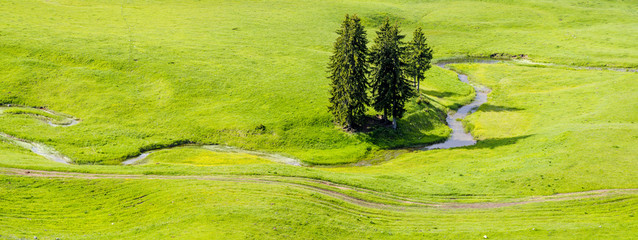 Górska,alpejska łąka © Mike Mareen