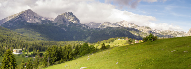 Górska,alpejska łąka