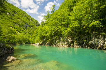 Kanion rzeki Tara,Durmitor,Czarnogóra