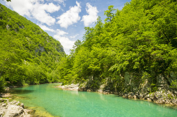 Kanion rzeki Tara,Durmitor,Czarnogóra