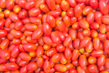 Red Cherry Tomato Background.