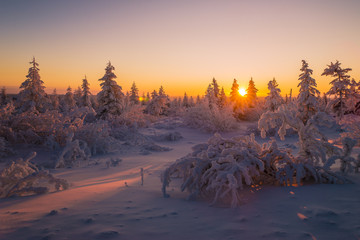 Winter landscape with forest, cloudy sky, sun, sunset and trees 