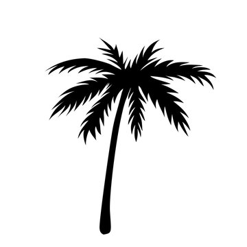 One palm tree outline. Black coconut tree silhouette isolated on white background. Symbol of tropical nature, beach, summer holiday, travel. Floral exotic landscape. Natural design Vector illustration
