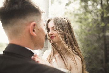Fototapeta premium Kissing wedding couple staying over beautiful landscape