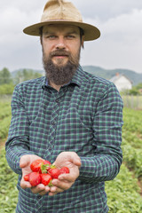 Portrait of young farmer in a strawberry field presenting his ha