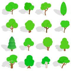 Tree icons in isometric 3d style. Park set isolated vector illustration