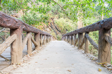 bridge at national park