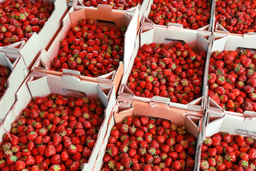 Organic strawberry in baskets on the market. High resolution product.