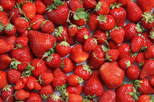 Background from organic  strawberry. Close up, high resolution product. Harvest concept