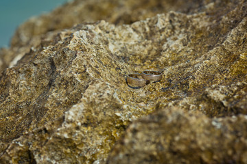 Two wedding rings on the cliff near ocean on the beach