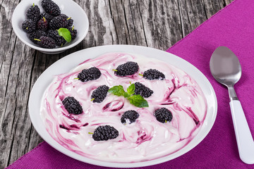 fresh greek  yogurt with colored stains and mulberry