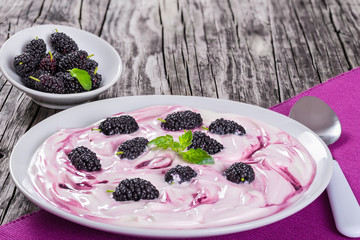 yogurt with colored stains and mulberry on plate