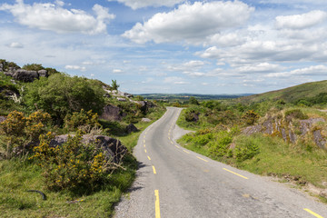 Naklejka premium Irish Road 1