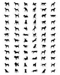 Black silhouettes of different breeds of dogs, vector - obrazy, fototapety, plakaty