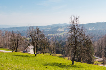 Spring morning valley view from the hill with young green grass, trees and house.