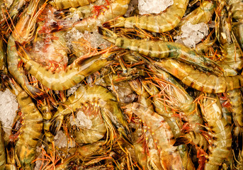 Raw shrimp on ice. Background