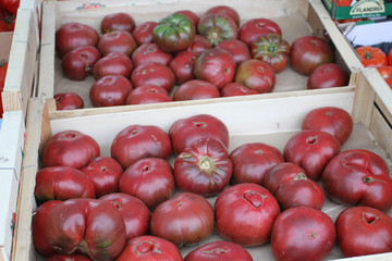 tomates 10072016