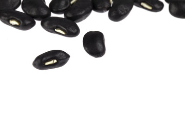 Black bean on the white background