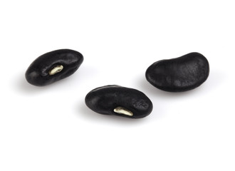 Black bean isolated on the white background