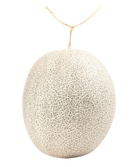Melon fruit isolate on the white background
