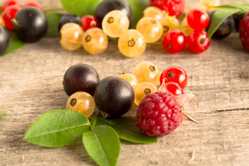 blueberry raspberry currant berries