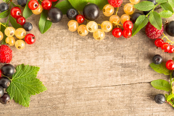 blueberry raspberry currant berries