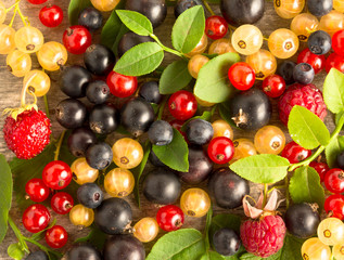blueberry raspberry currant berries