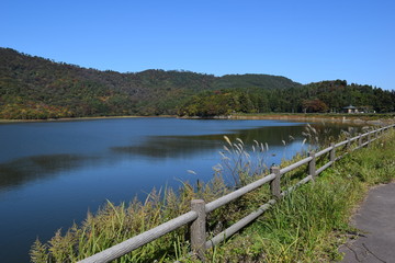 Fototapeta na wymiar ラムサール条約登録地 大山上池・大山下池 ／ 山形県鶴岡市大山にある灌漑用のため池です。国指定の鳥獣保護区と特別保護地区に指定され、さらに国際的に重要な湿地を保全する「ラムサール条約」にも登録されました。また、2010年には農林水産省の「ため池百選」にも選定されています。
