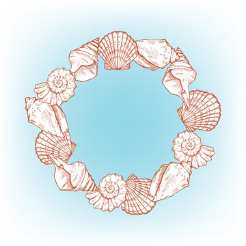 sea shells frame