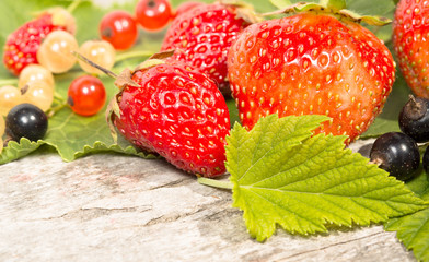 strawberry, macro, currant