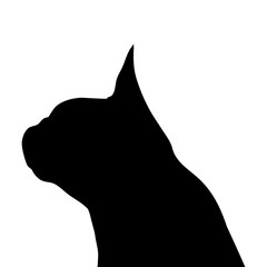 Vector illustration of dog.