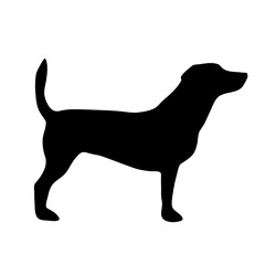 Vector illustration of dog.