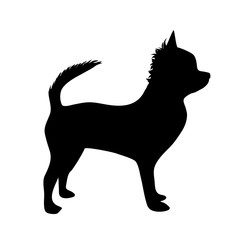 Vector illustration of dog.