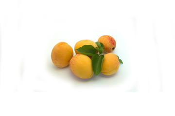 Apricot
