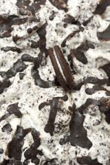 Detail of an artisan ice cream of oreo