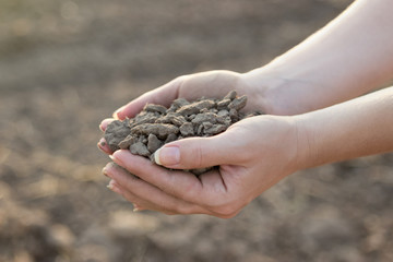 Lifeless and dry soil