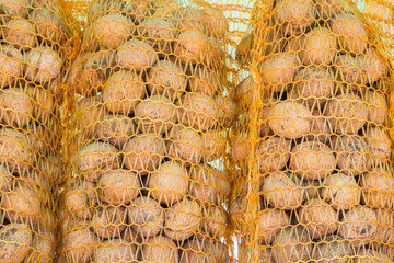 Walnuts pack in the store on the counter