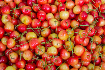 Ripe colored sweet cherries in the market on the counter